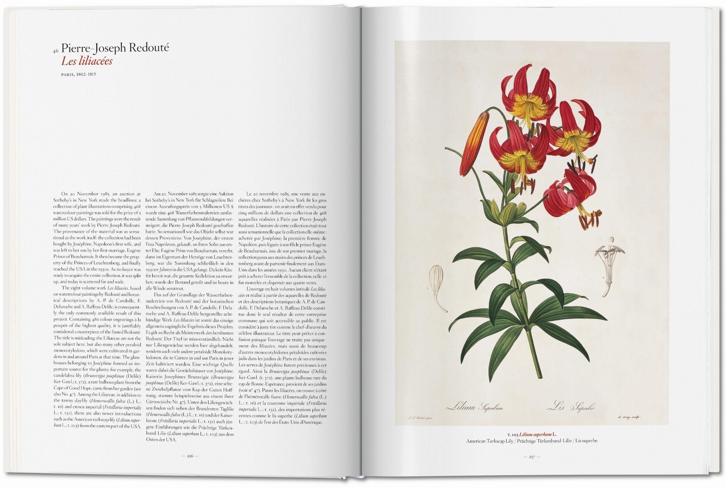 Bild: 9783836577397 | A Garden Eden. Masterpieces of Botanical Illustration | H. Walter Lack