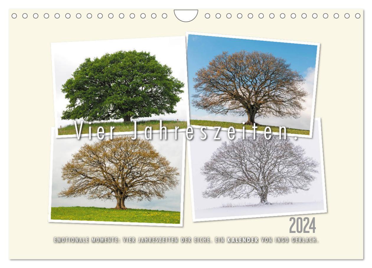Cover: 9783383004506 | Vier Jahreszeiten der Eiche. (Wandkalender 2024 DIN A4 quer),...