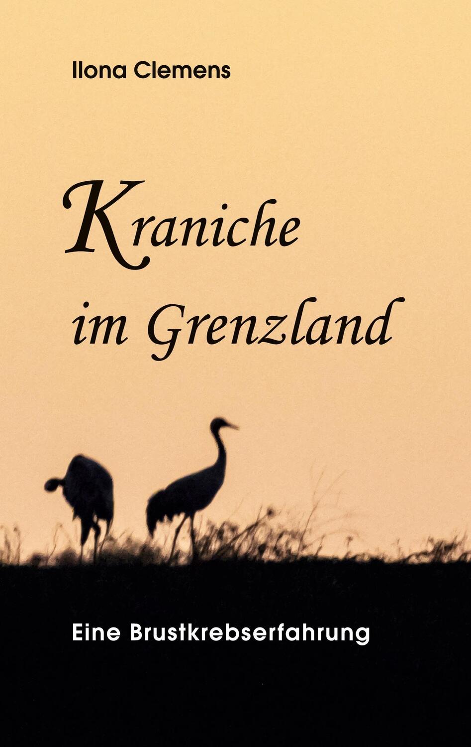 Cover: 9783347312753 | Kraniche im Grenzland | Eine Brustkrebserfahrung | Ilona Clemens