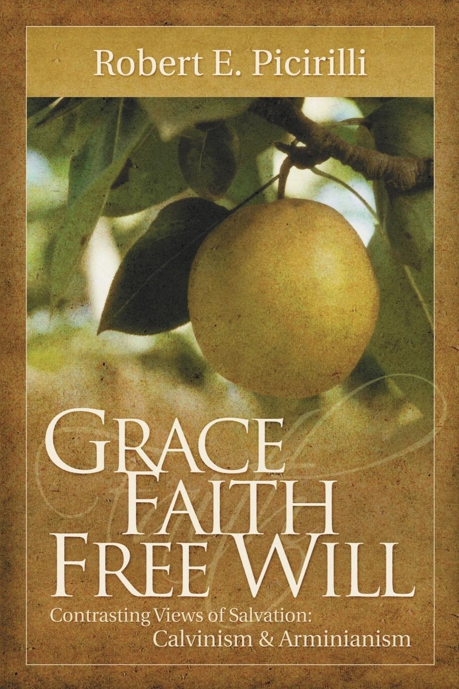 Cover: 9780892656486 | Grace, Faith, Free Will | Robert E. Picirilli | Taschenbuch | Englisch