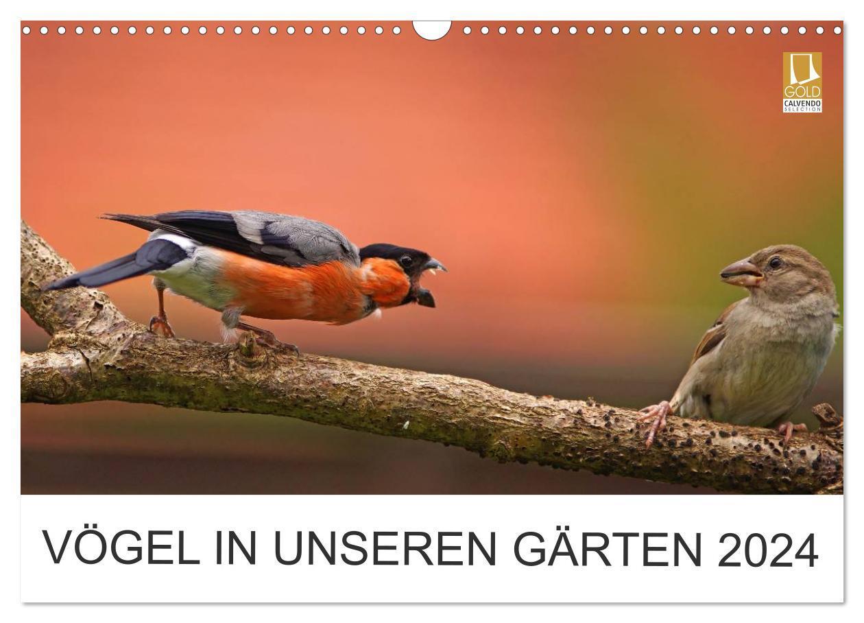 Cover: 9783675637955 | Vögel in unseren Gärten 2024 (Wandkalender 2024 DIN A3 quer),...