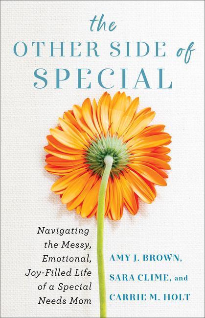 Cover: 9780800742119 | The Other Side of Special | Amy J Brown (u. a.) | Taschenbuch | 2023