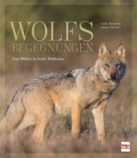 Cover: 9783275022168 | Wolfsbegegnungen | Von Wölfen in freier Wildbahn | Benstem (u. a.)