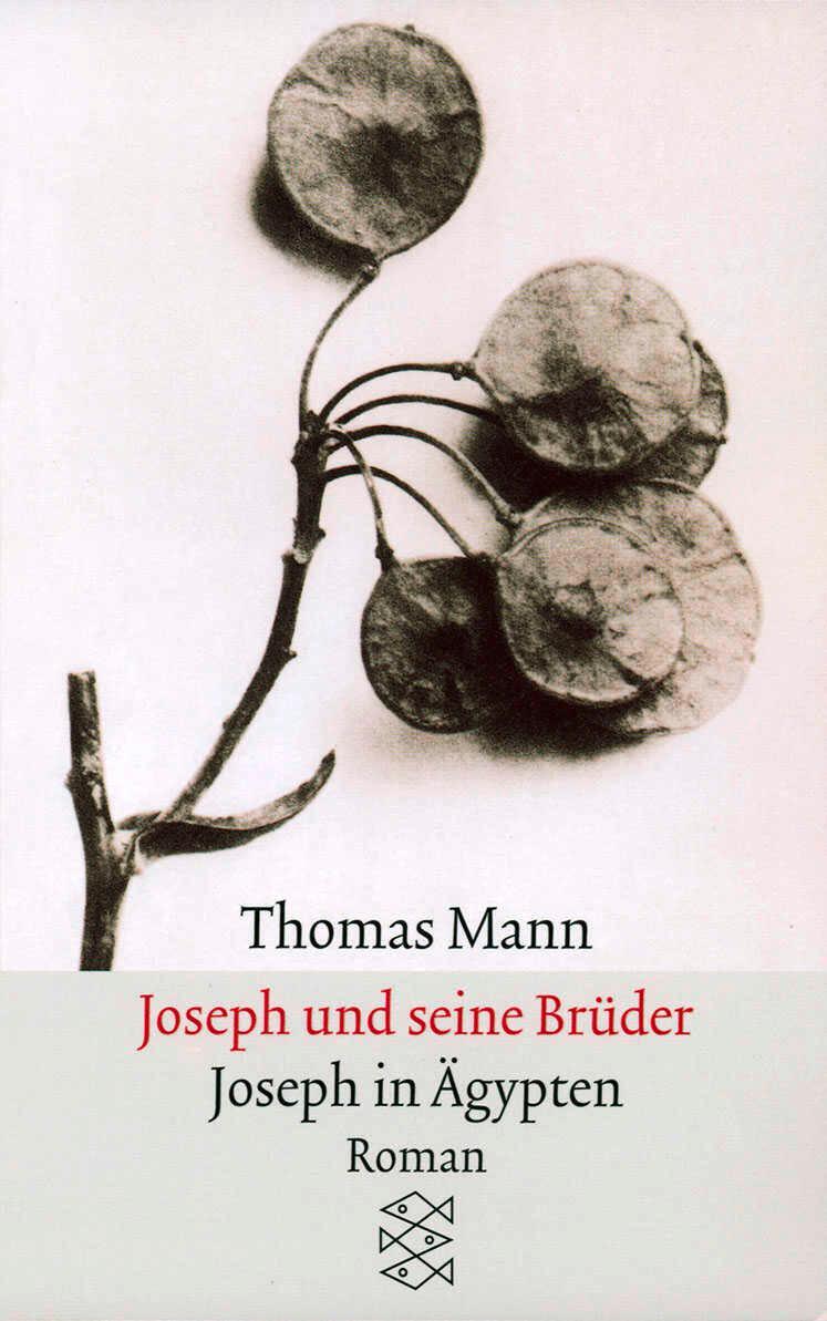 Cover: 9783596294374 | Joseph und seine BrüderIII. Joseph in Ägypten | Thomas Mann | Buch