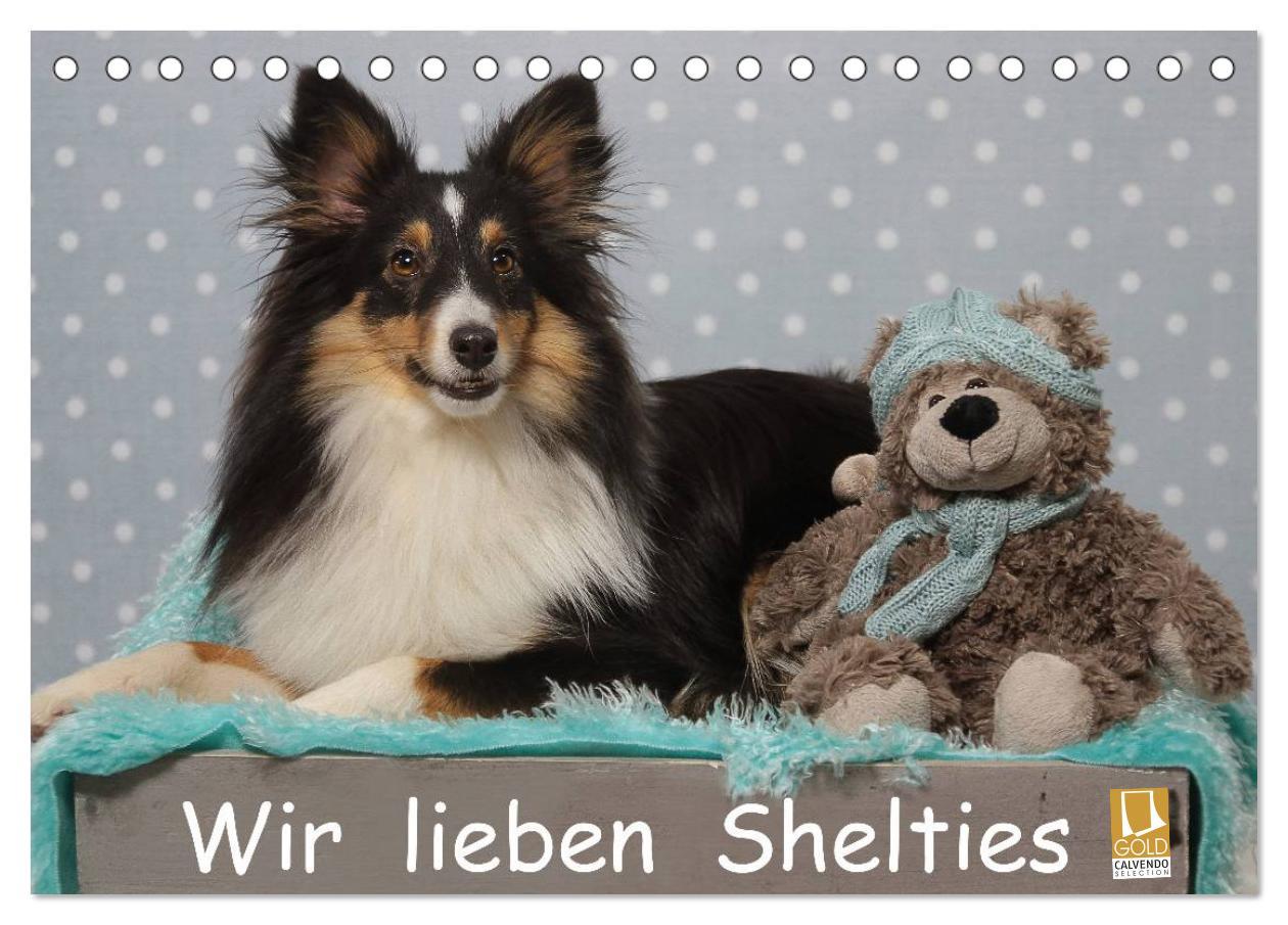 Cover: 9783435598021 | Wir lieben Shelties (Tischkalender 2025 DIN A5 quer), CALVENDO...