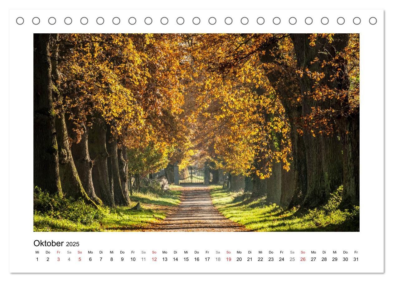 Bild: 9783435154623 | Impressionen aus Ostwestfalen-Lippe (Tischkalender 2025 DIN A5...