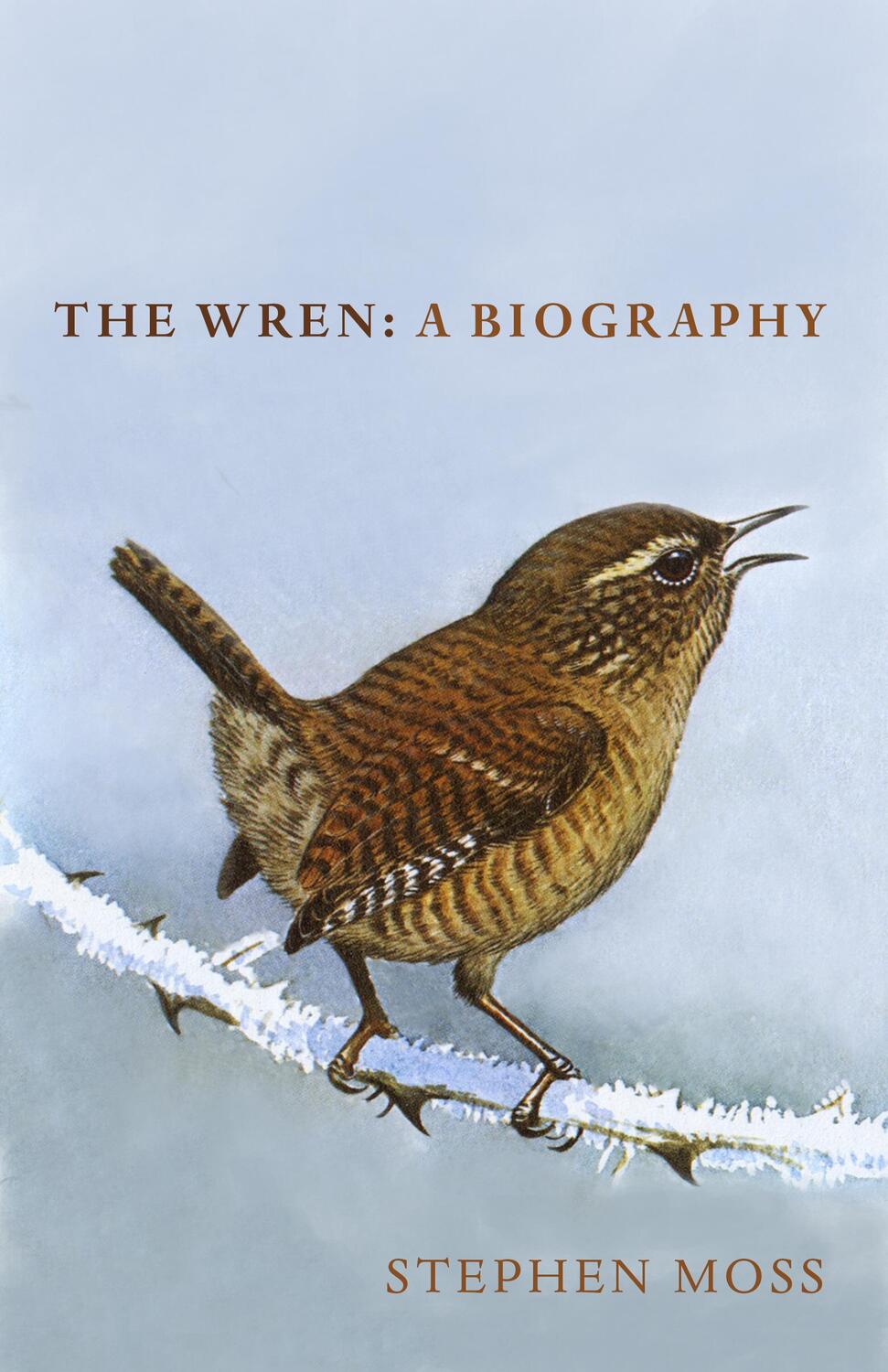 Cover: 9781910931936 | The Wren | A Biography | Stephen Moss | Buch | Gebunden | Englisch