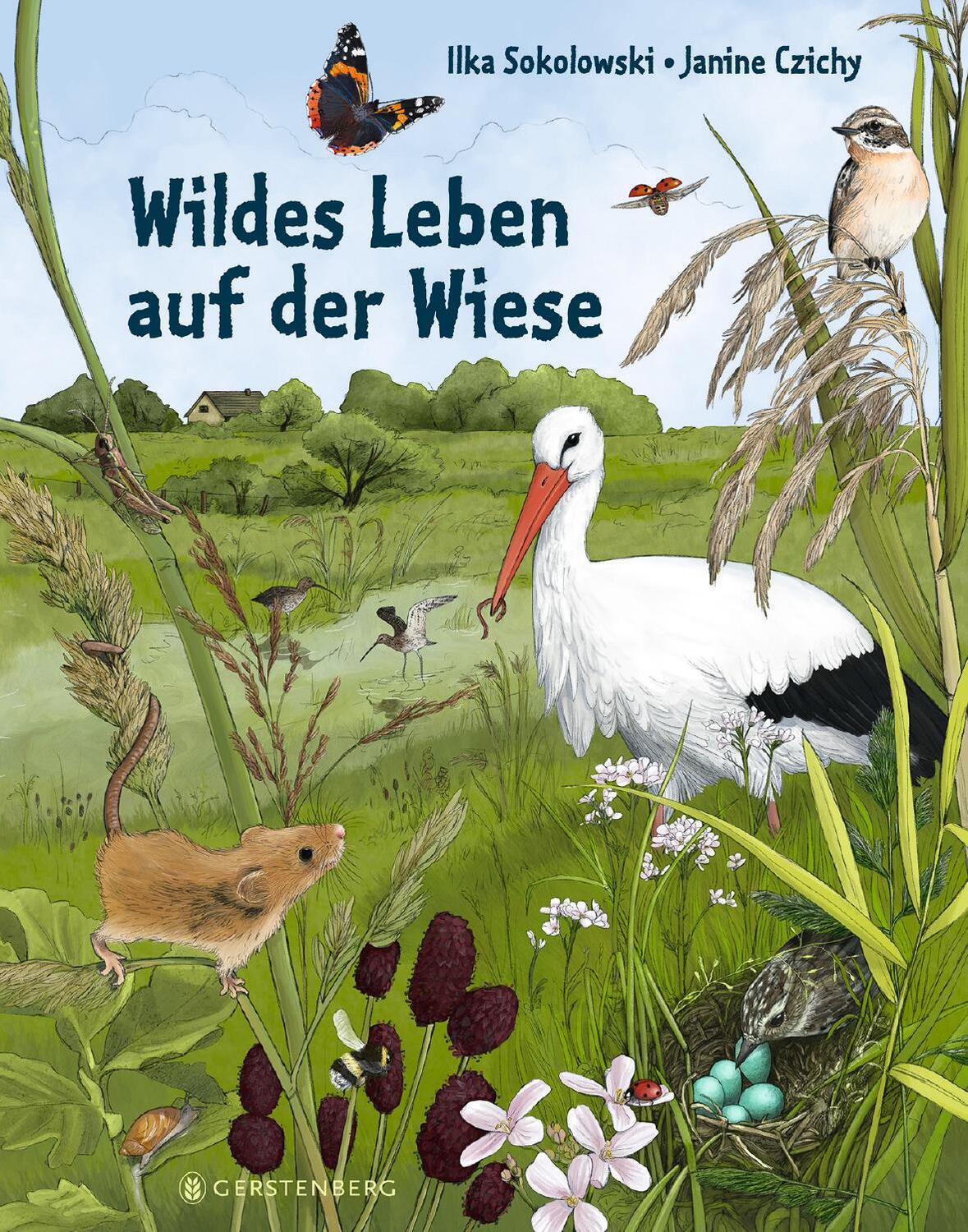 Cover: 9783836961257 | Wildes Leben auf der Wiese | Ilka Sokolowski | Buch | Deutsch | 2022