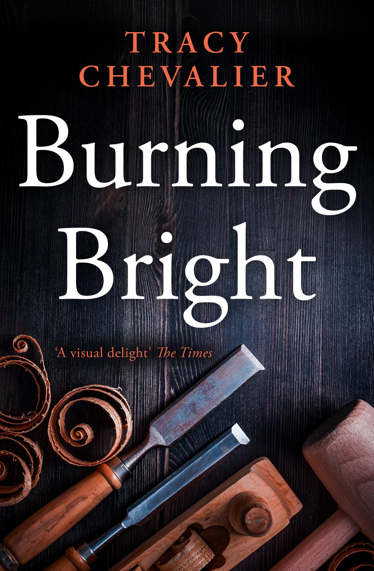 Cover: 9780007178360 | Burning Bright | Tracy Chevalier | Taschenbuch | Englisch | 2008