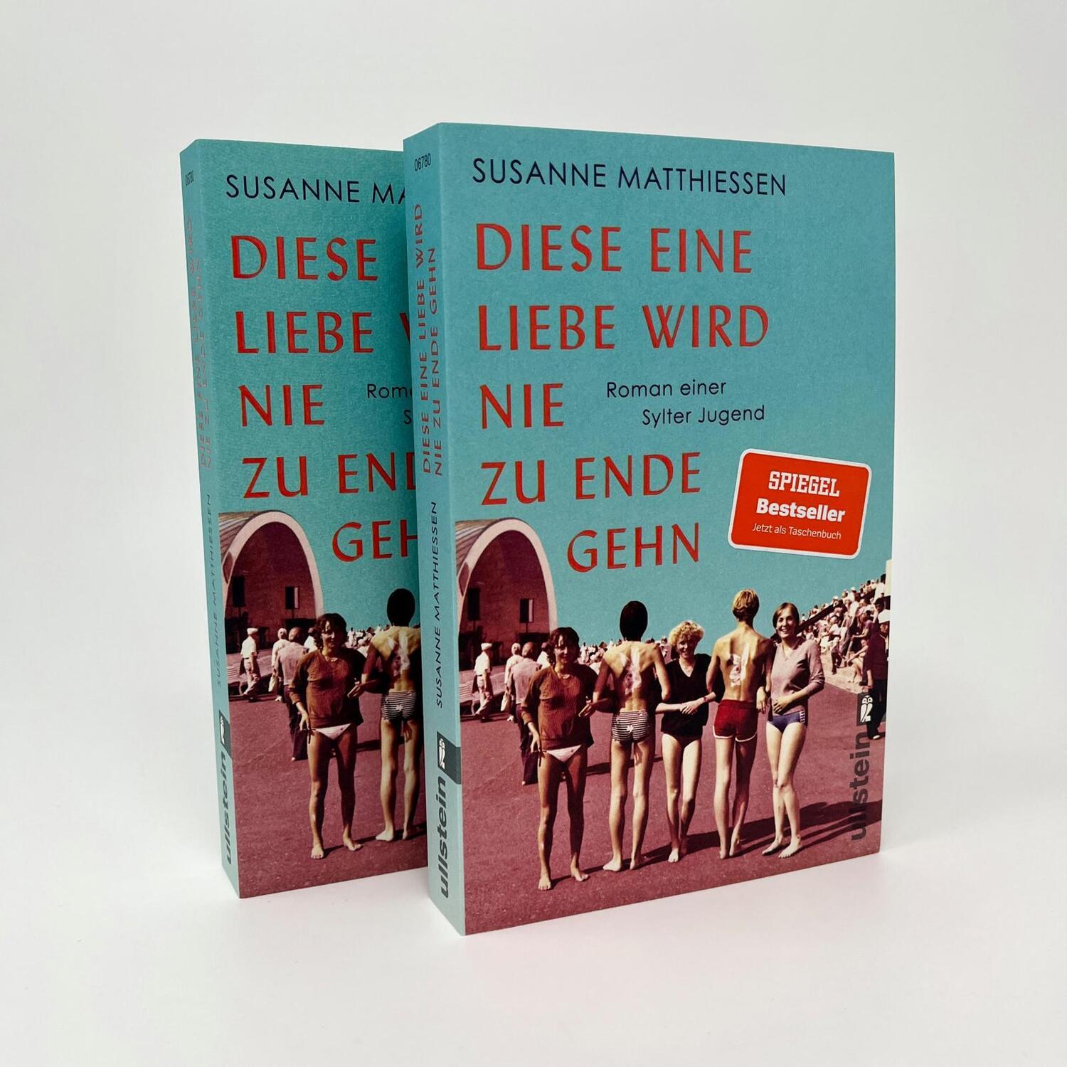 Bild: 9783548067803 | Diese eine Liebe wird nie zu Ende gehn | Susanne Matthiessen | Buch