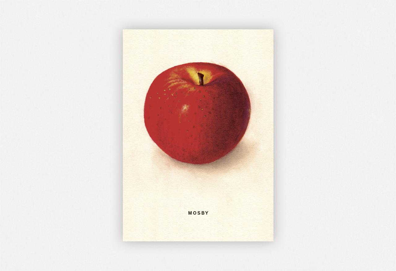 Bild: 4260172810821 | An Apple a Day 2020 - Postkartenset | 4 Stück | Taschenbuch | Deutsch