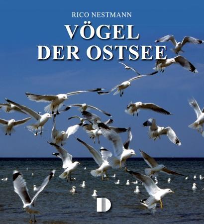 Cover: 9783910150942 | Vögel der Ostsee | Rico Nestmann | Buch | Deutsch | 2012