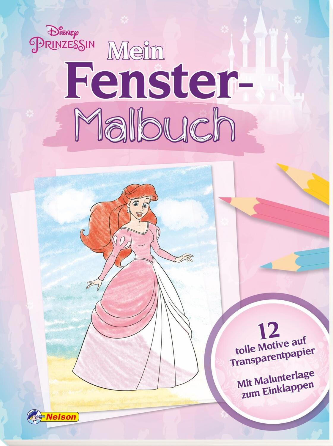 Cover: 9783845119007 | Disney Prinzessin: Mein Fenstermalbuch | Taschenbuch | Deutsch | 2021
