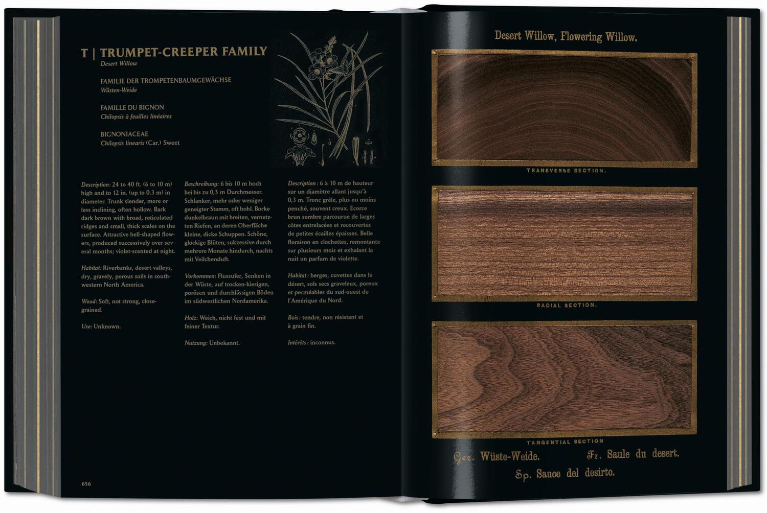 Bild: 9783836580618 | Romeyn B. Hough. The Woodbook. The Complete Plates | Leistikow | Buch