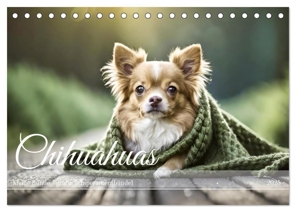 Cover: 9783383811661 | Chihuahuas - Kleine Hunde - große Temperamentbündel (Tischkalender...