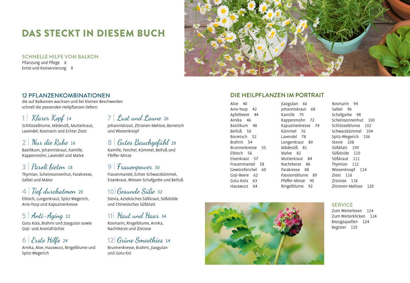 Bild: 9783818622282 | Heilpflanzen auf meinem Balkon | Christina Freiberg | Taschenbuch