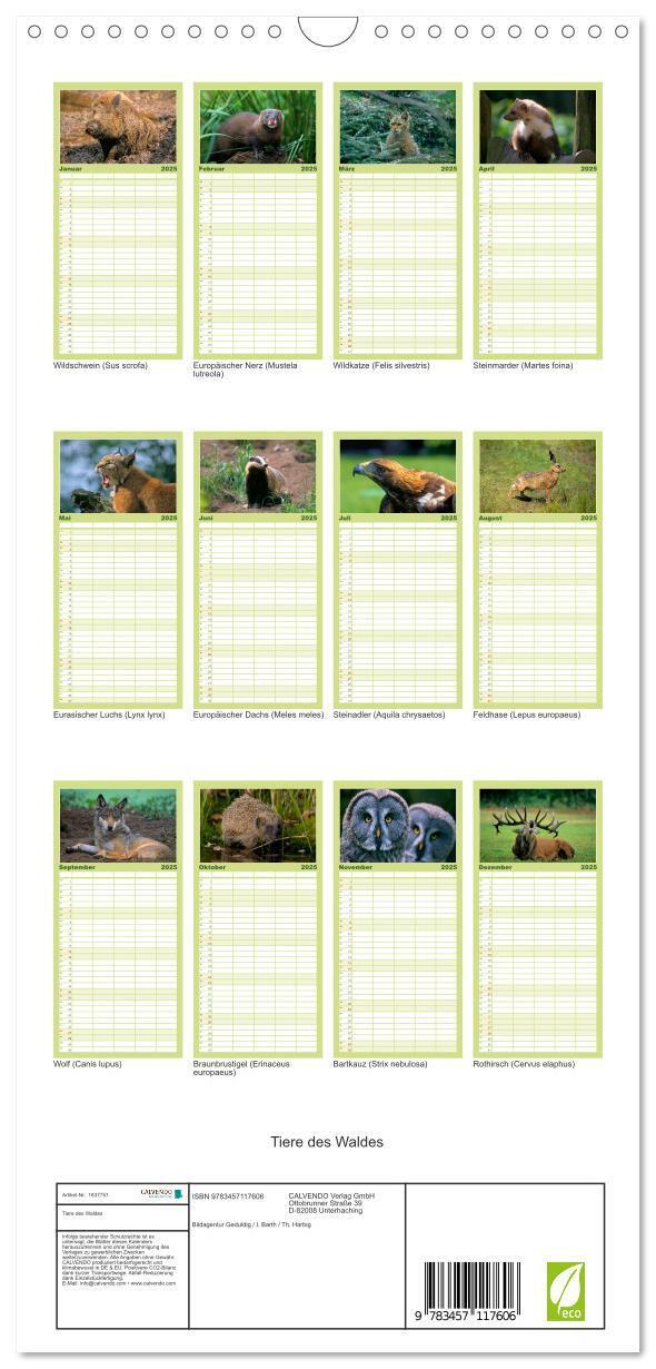 Bild: 9783457117606 | Familienplaner 2025 - Tiere des Waldes mit 5 Spalten (Wandkalender,...