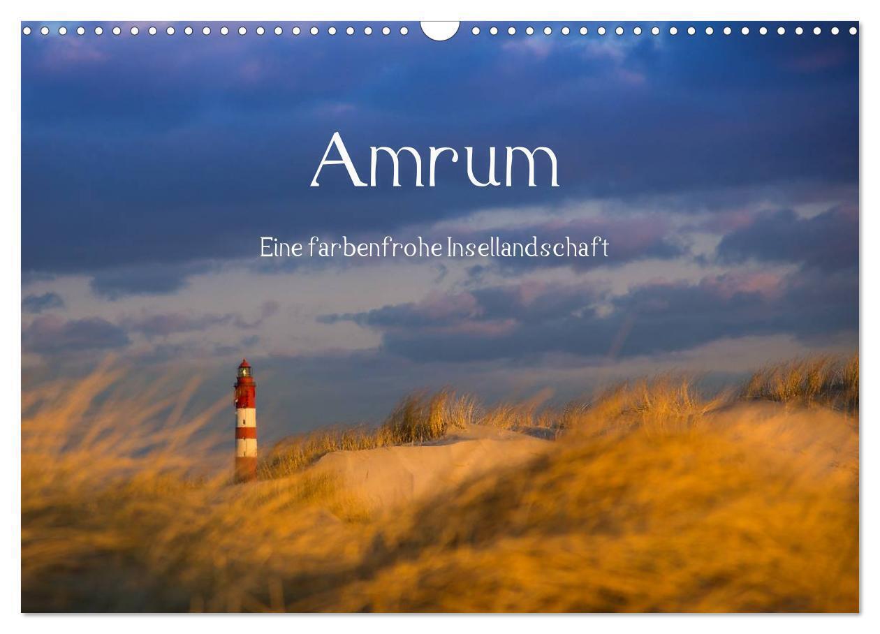 Cover: 9783675583856 | Amrum - Eine farbenfrohe Insellandschaft (Wandkalender 2024 DIN A3...