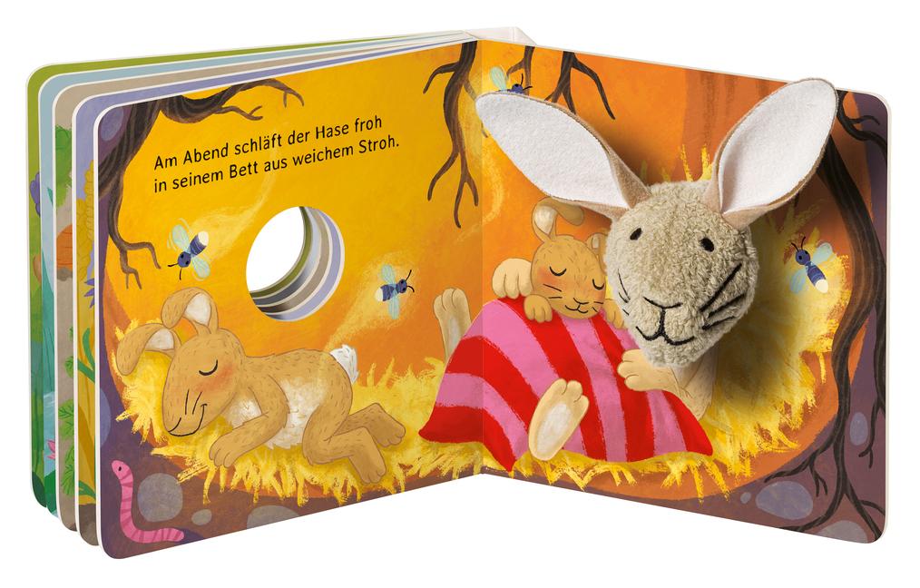 Bild: 9783473438976 | Mein liebstes Fingerpuppenbuch: Hallo, kleiner Hase! | Bernd Penners