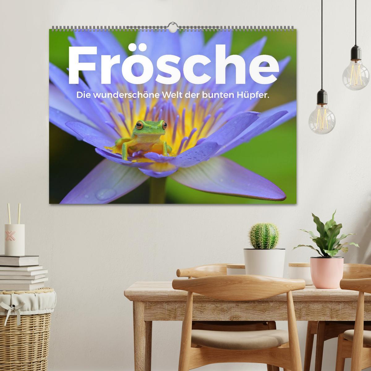 Bild: 9783435000937 | Frösche - Die wunderschöne Welt der bunten Hüpfer. (Wandkalender...