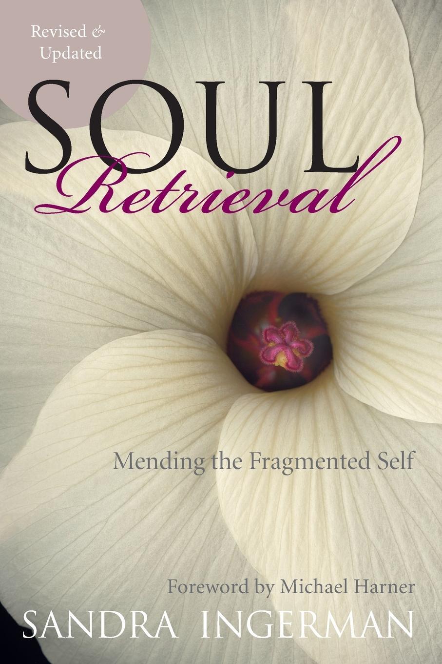Cover: 9780061227868 | Soul Retrieval | Mending the Fragmented Self | Sandra Ingerman | Buch