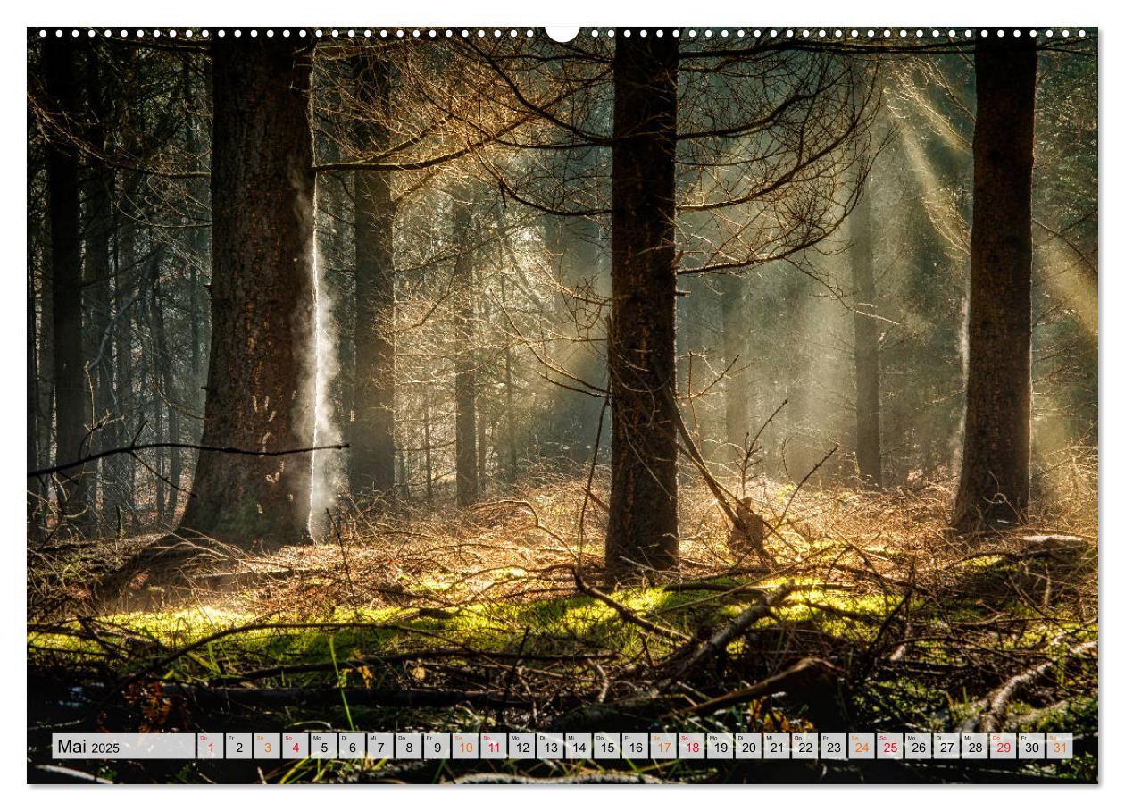 Bild: 9783435071173 | Wald - mystische Spaziergänge (Wandkalender 2025 DIN A2 quer),...