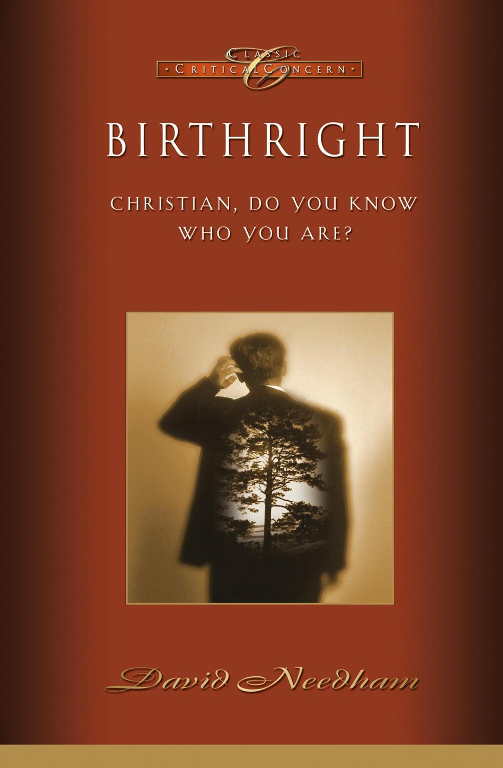 Cover: 9781590526668 | Birthright | Christian, Do You Know Who You Are? | David C. Needham