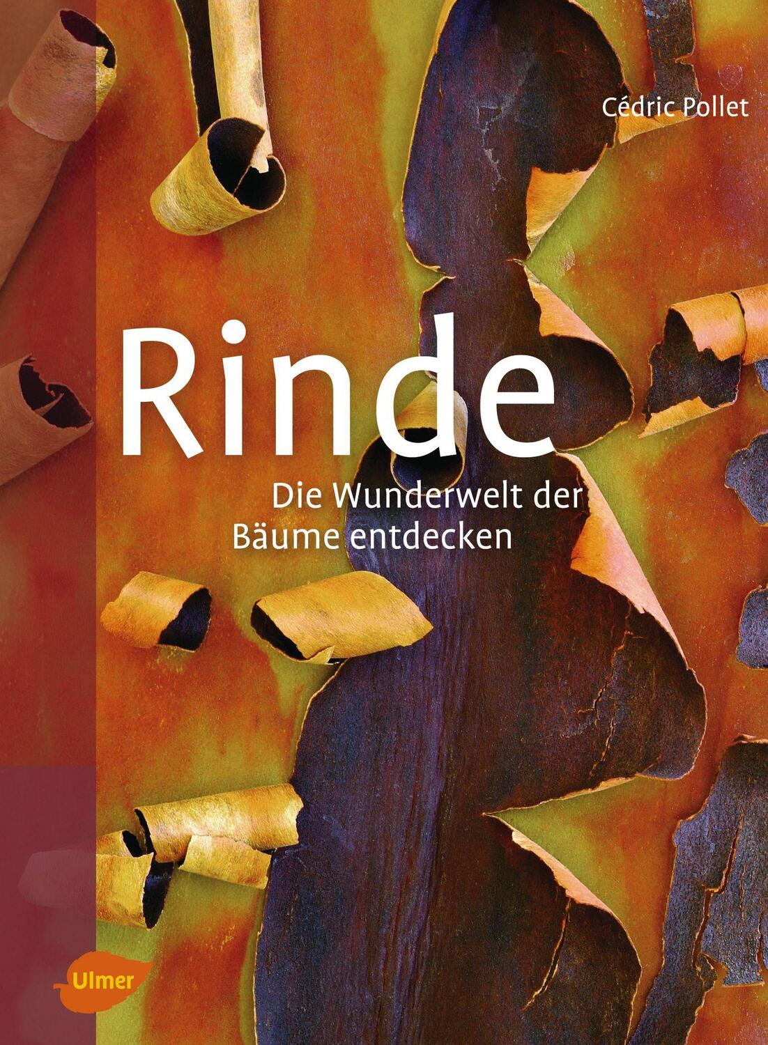 Cover: 9783800112838 | Rinde | Die Wunderwelt der Bäume entdecken | Cédric Pollet | Buch