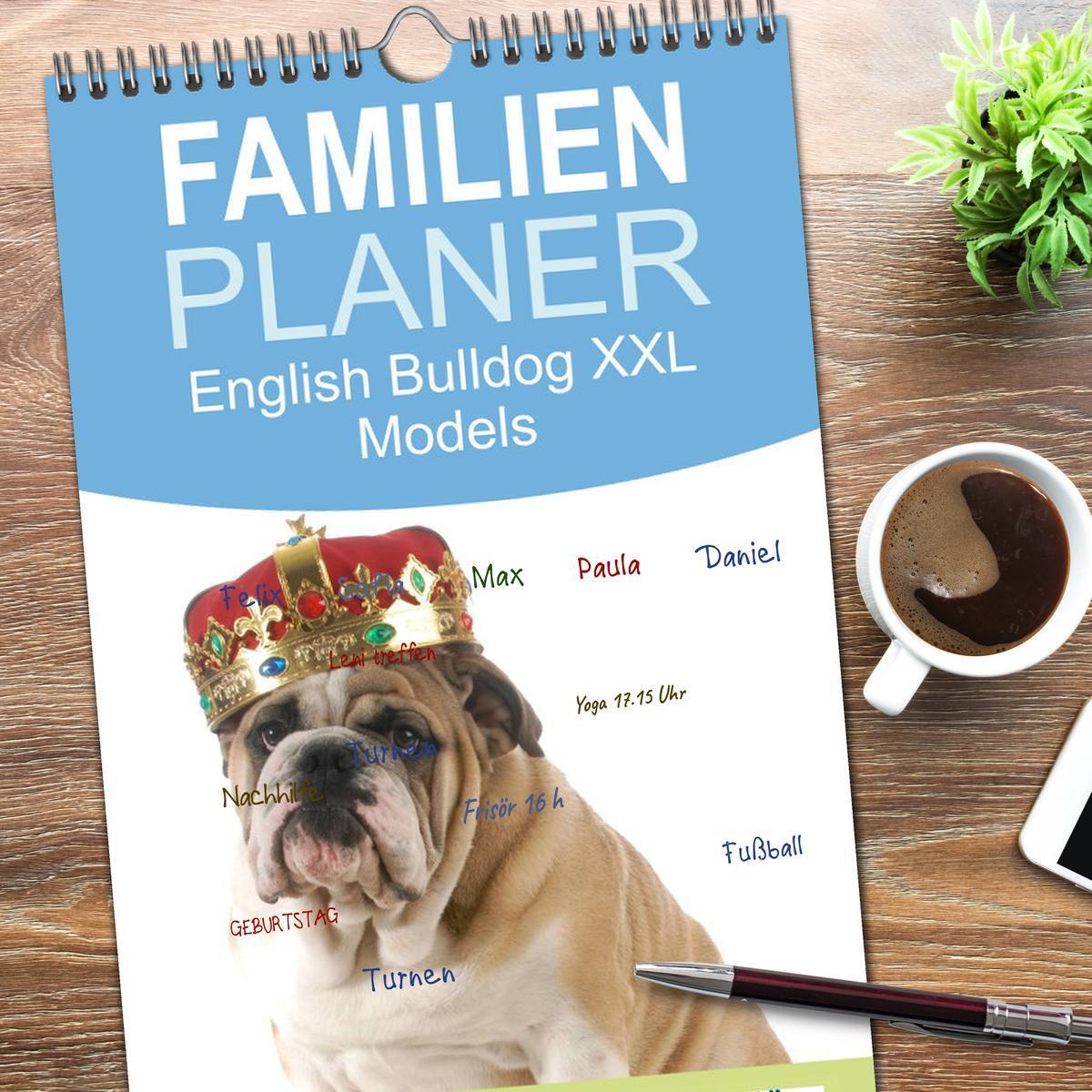 Bild: 9783457111253 | Familienplaner 2025 - English Bulldog XXL Models mit 5 Spalten...