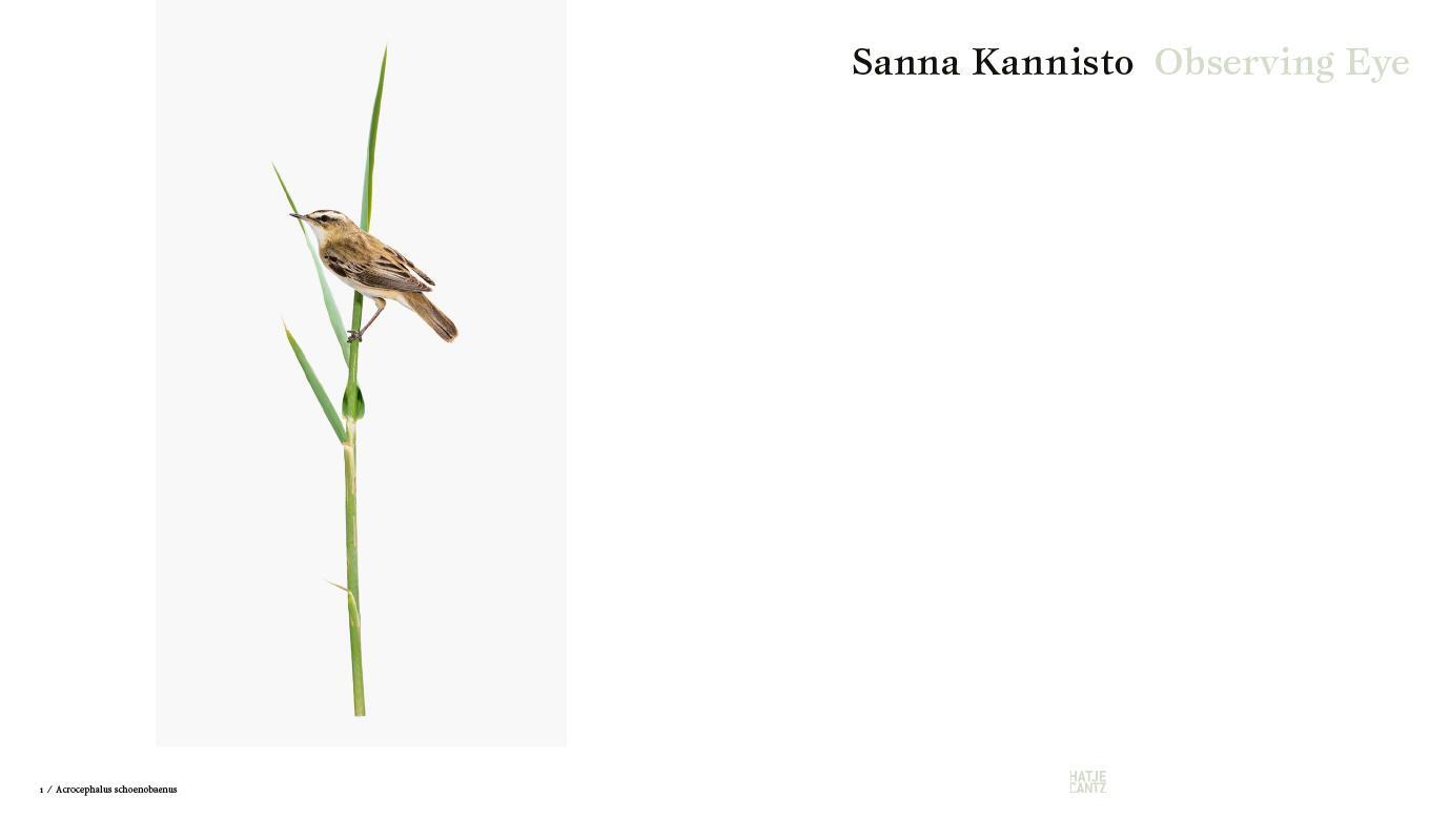 Bild: 9783775747912 | Sanna Kannisto | Observing Eye | Buch | Fotografie | 144 S. | Englisch