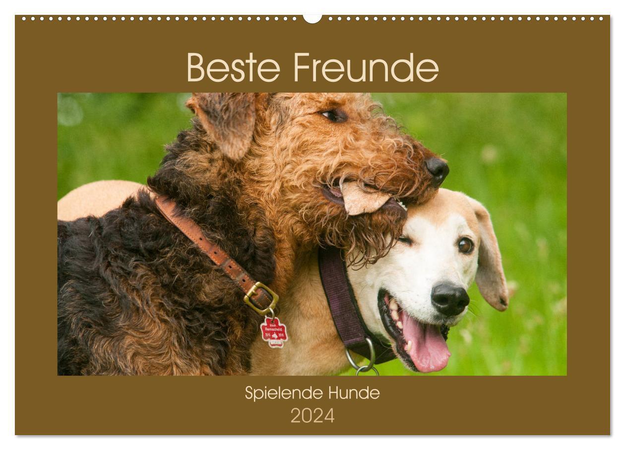 Cover: 9783383051418 | Beste Freunde - Spielende Hunde (Wandkalender 2024 DIN A2 quer),...