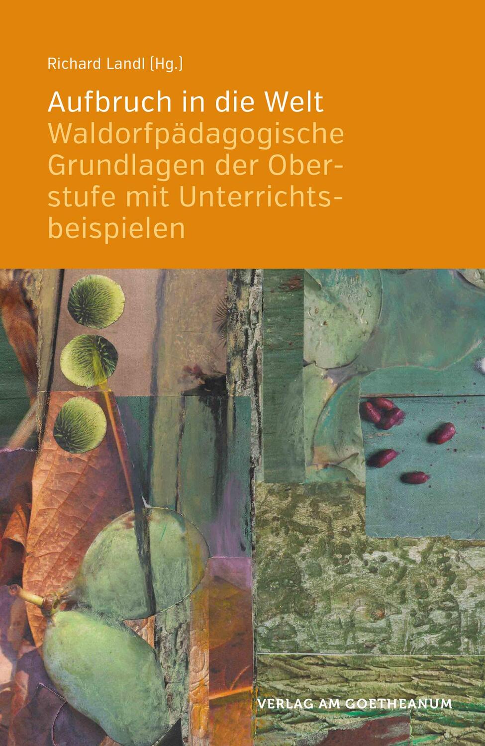 Cover: 9783723516003 | Aufbruch in die Welt | Richard Landl | Taschenbuch | Deutsch | 2018