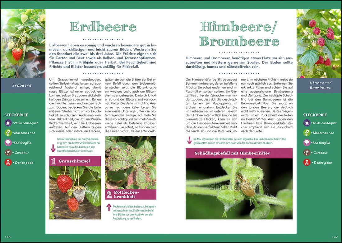 Bild: 9783735918857 | Pflanzendoktor | Buch | 160 S. | Deutsch | 2019 | garant Verlag