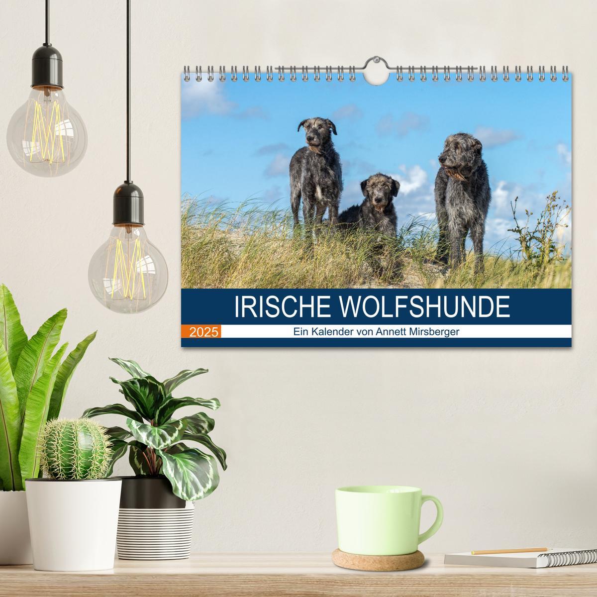 Bild: 9783435425501 | Irische Wolfshunde (Wandkalender 2025 DIN A4 quer), CALVENDO...