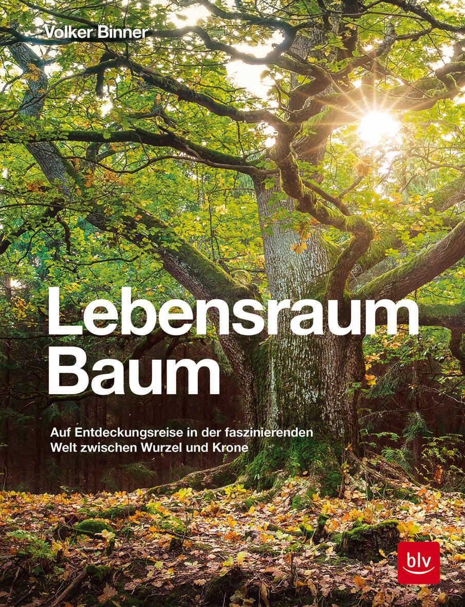 Cover: 9783835419681 | Lebensraum Baum | Volker Binner | Buch | 240 S. | Deutsch | 2019 | BLV