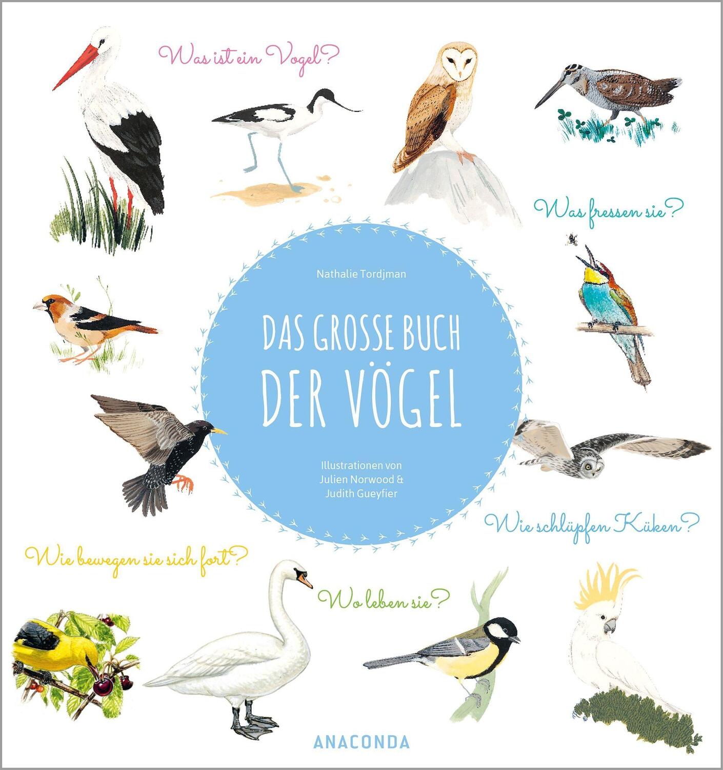 Cover: 9783730610572 | Das große Buch der Vögel | Nathalie Tordjman | Buch | 80 S. | Deutsch