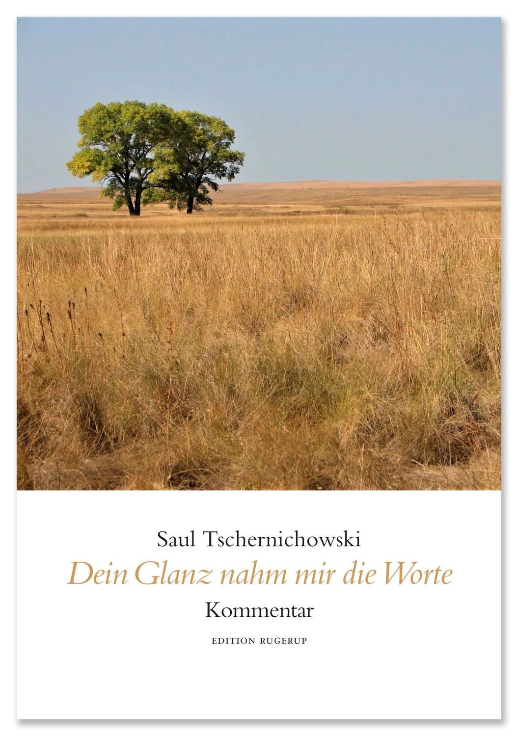 Bild: 9783942955720 | Dein Glanz nahm mir die Worte | Alle drei Bände im Set | Buch | 2020