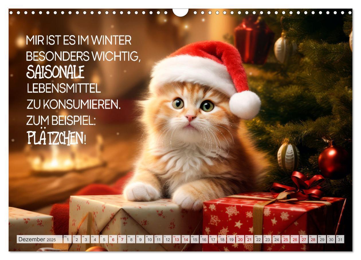 Bild: 9783383773457 | Süße Katzen und coole Sprüche (Wandkalender 2025 DIN A3 quer),...