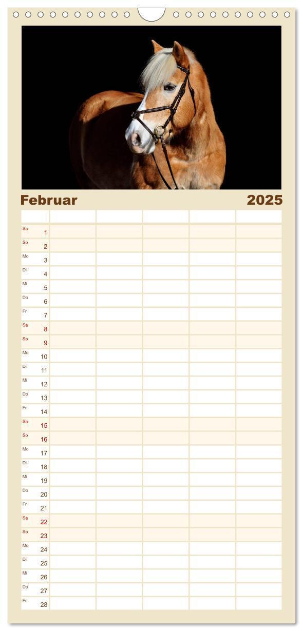 Bild: 9783457123959 | Familienplaner 2025 - Haflinger mit 5 Spalten (Wandkalender, 21 x...