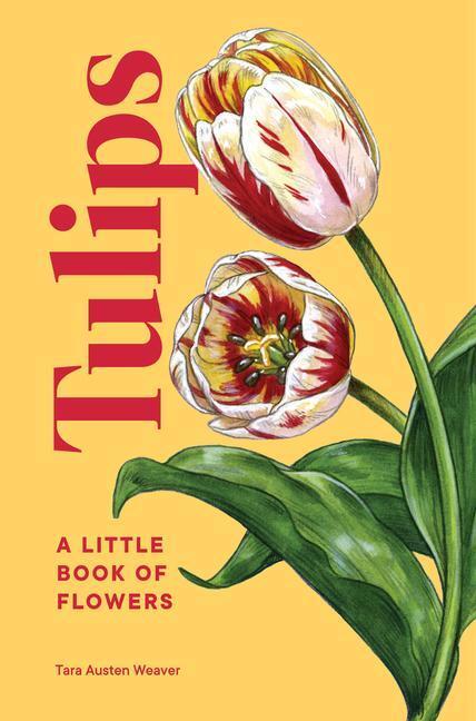 Cover: 9781632174444 | Tulips | A Little Book of Flowers | Tara Austen Weaver | Buch | 2023