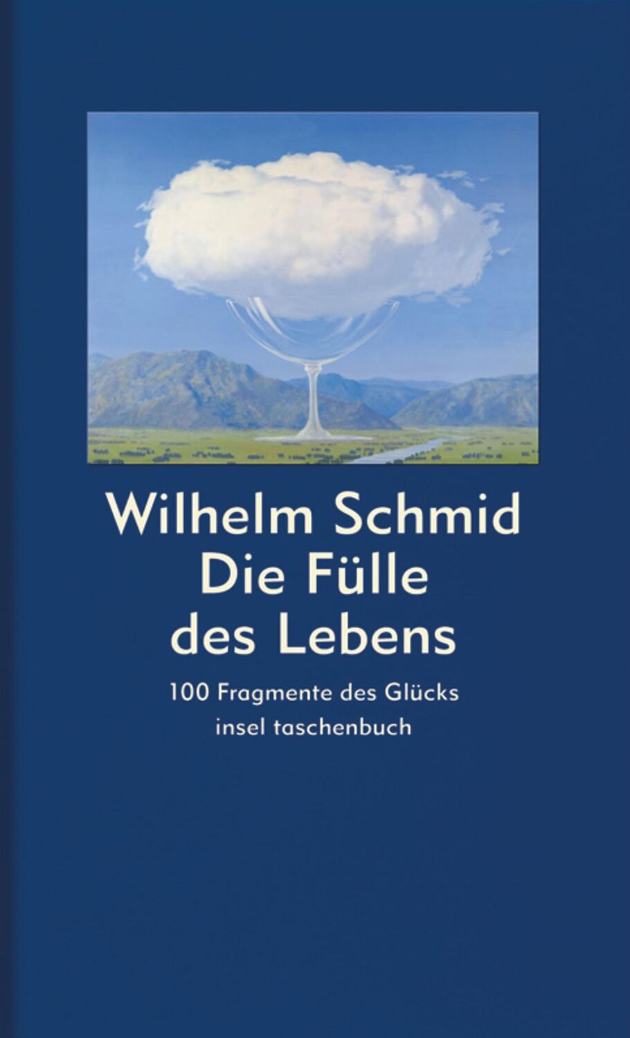 Cover: 9783458348993 | Die Fülle des Lebens | 100 Fragmente des Glücks | Wilhelm Schmid