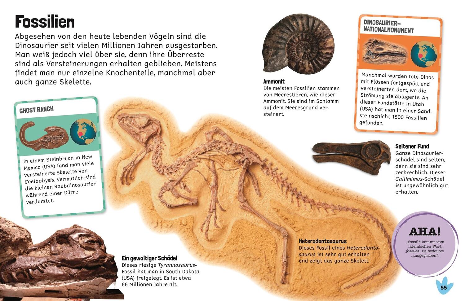 Bild: 9783831039340 | Sticker-Lexikon. Dinosaurier | Mit über 600 Stickern | Taschenbuch