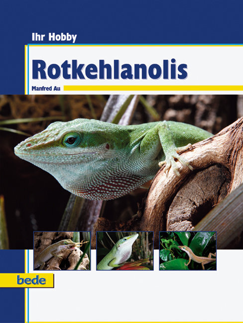 Cover: 9783898601634 | Rotkehlanolis | Manfred Au | Buch | 2008 | Bede | EAN 9783898601634