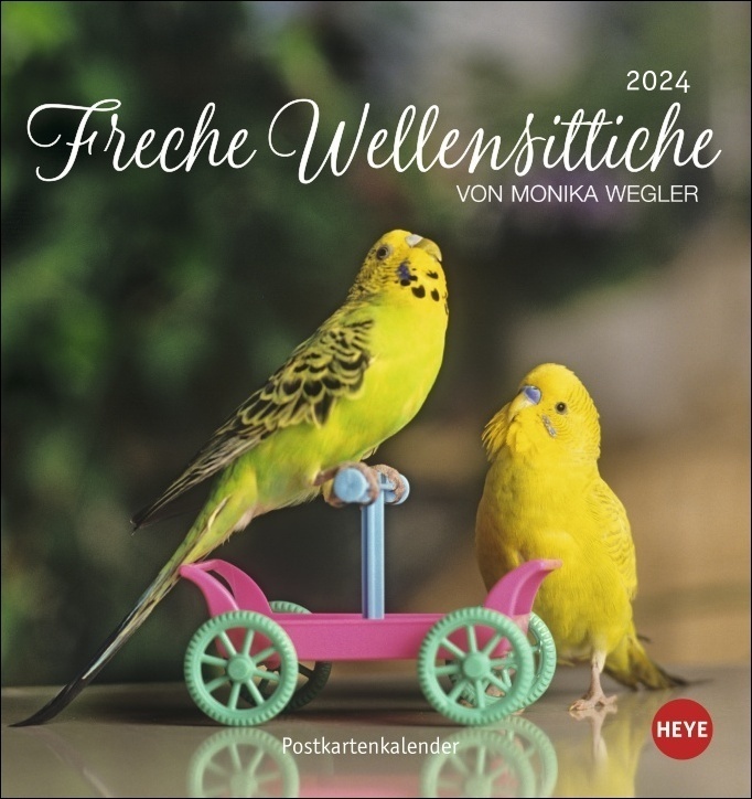 Cover: 9783756400607 | Freche Wellensittiche Postkartenkalender 2024 von Monika Wegler....