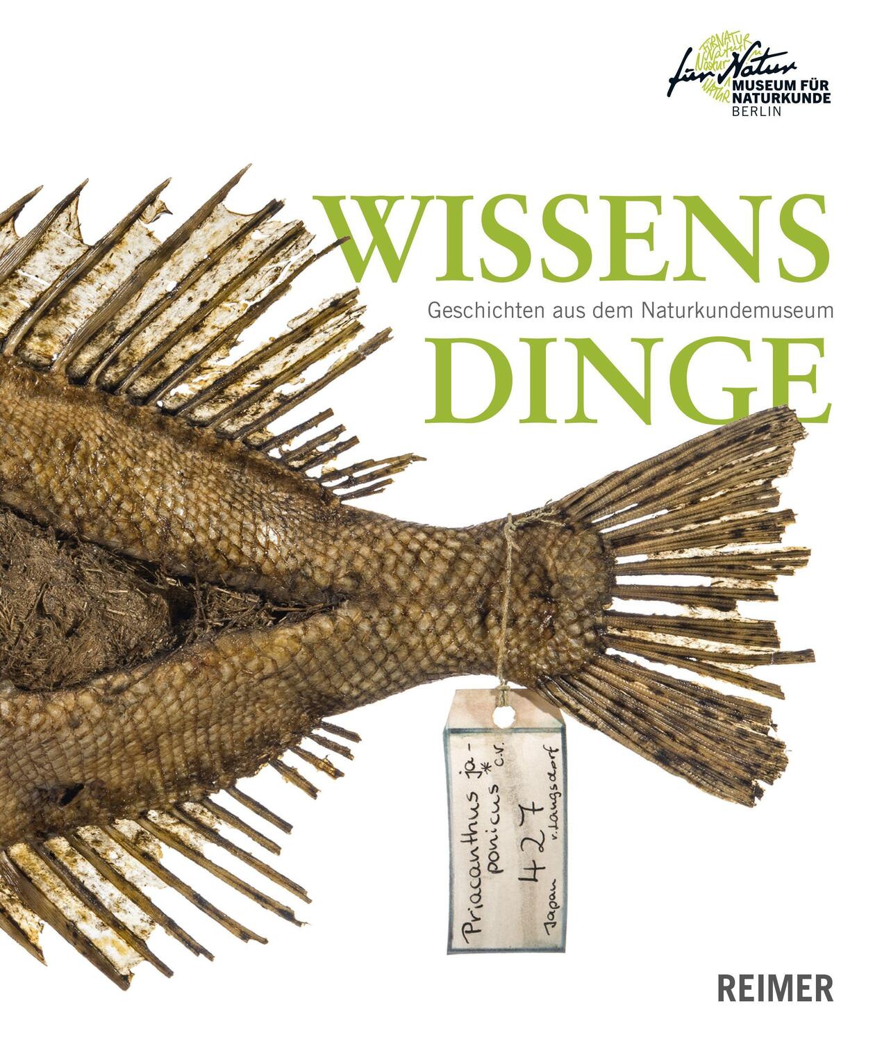 Cover: 9783496016502 | Wissensdinge | Geschichten aus dem Naturkundemuseum | Hermannstädter