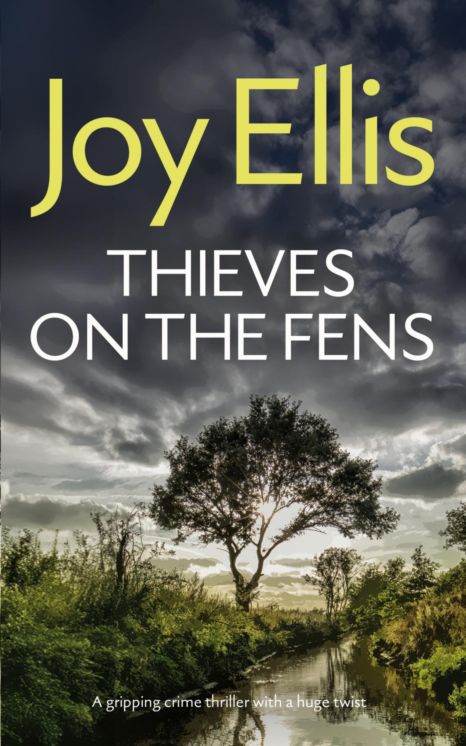 Cover: 9781835266090 | THIEVES ON THE FENS a gripping crime thriller with a huge twist | Buch