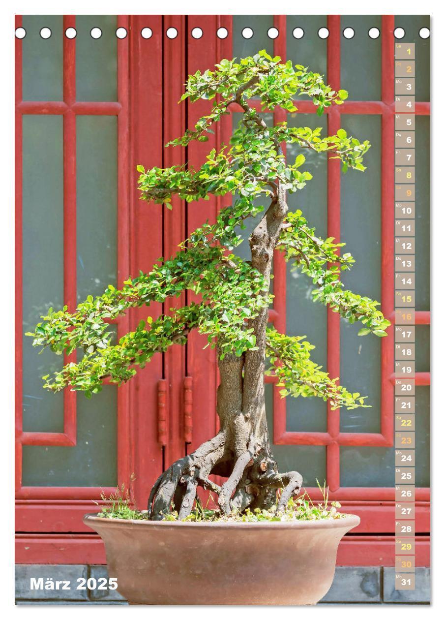 Bild: 9783435852345 | Bonsai: Gartenkunst im Kleinen (Tischkalender 2025 DIN A5 hoch),...