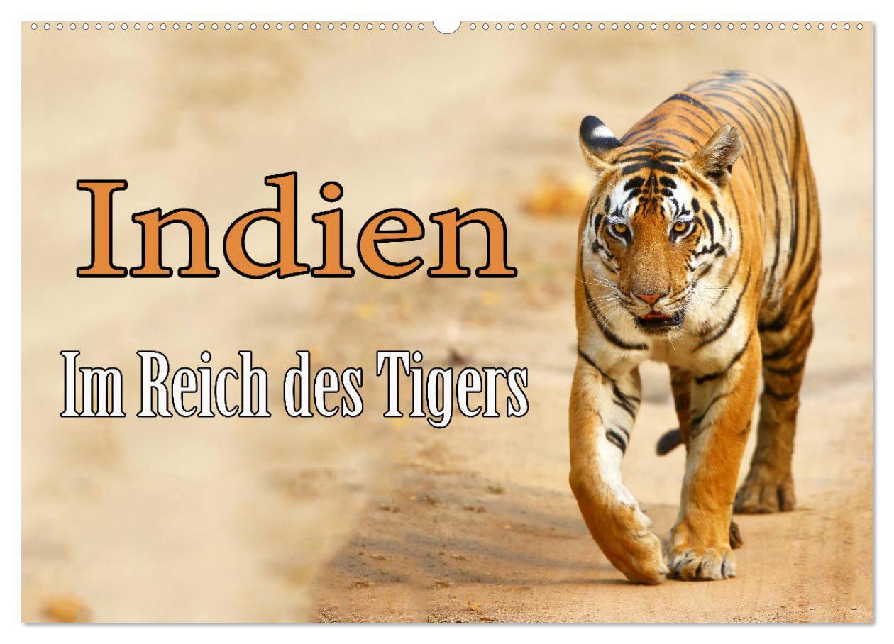 Cover: 9783435215799 | Indien - Im Reich des Tigers (Wandkalender 2025 DIN A2 quer),...