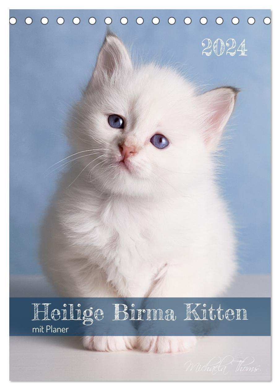 Cover: 9783675429741 | Heilige Birma Kittenkalender mit Planer (Tischkalender 2024 DIN A5...