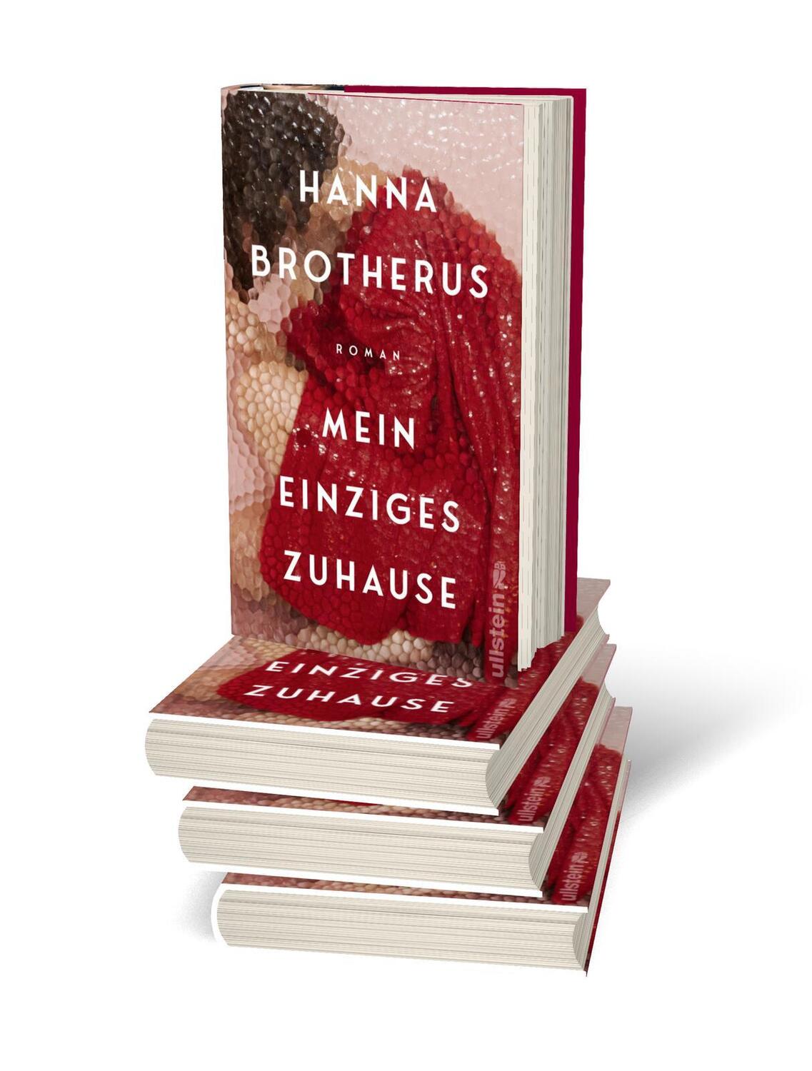 Bild: 9783550202384 | Mein einziges Zuhause | Hanna Brotherus | Buch | 400 S. | Deutsch